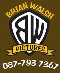 Brian Walsh Logo